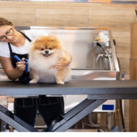 groomer-profissional-blog-nubika (2)